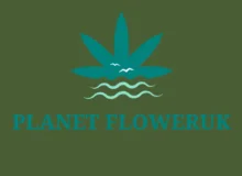 Cannabis Store