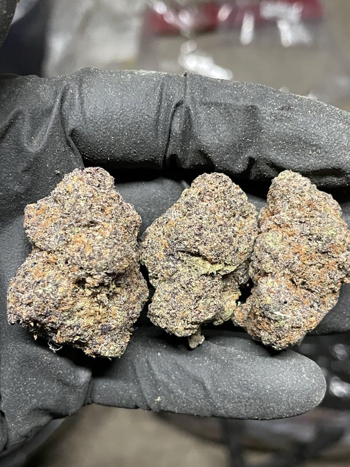 purple magnum