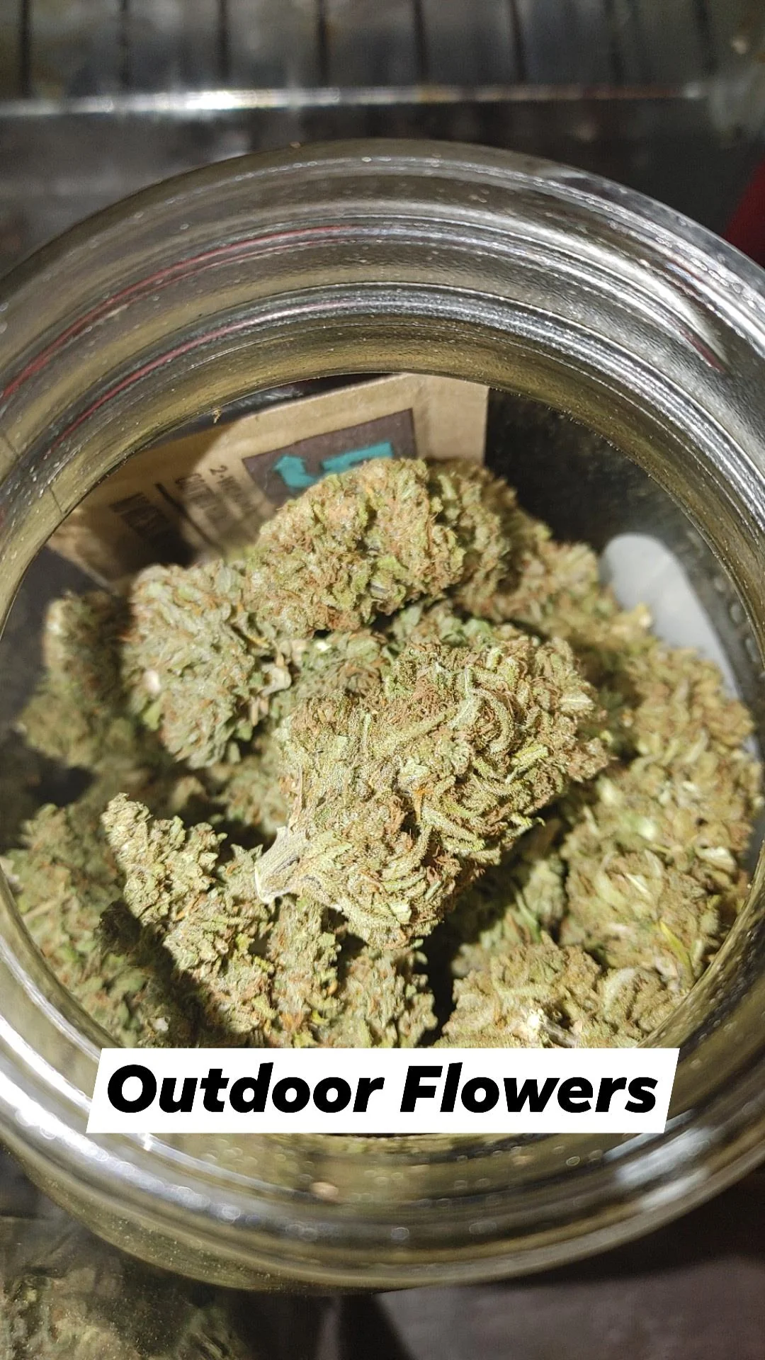 cbd buds for sale